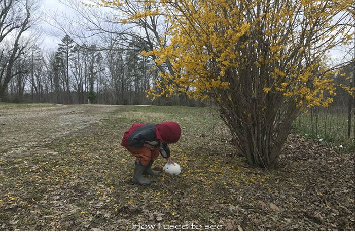 Фото любителя і профі