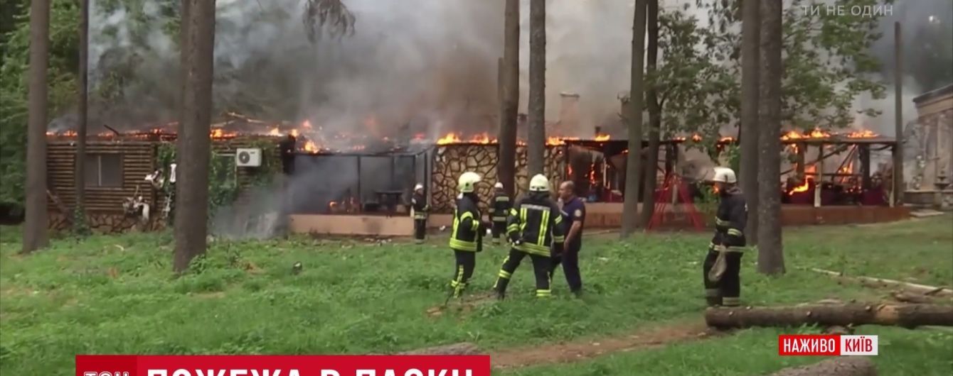 Повариха героически спасла попугая во время пожара ресторана в Киеве