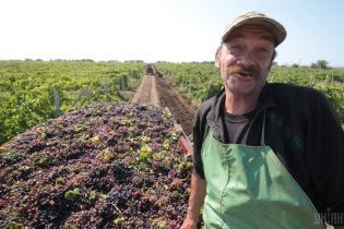 Эксперты рассказали, как резкие изменения в погоде повлияют на урожай