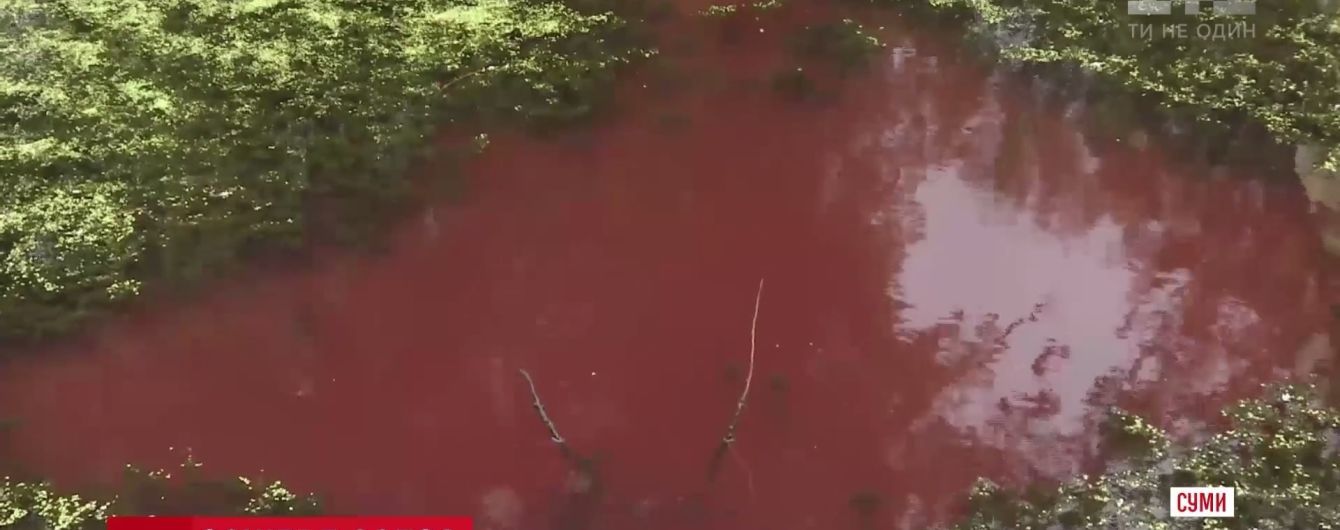 У Сумах з'явилося дивовижне рожеве озеро