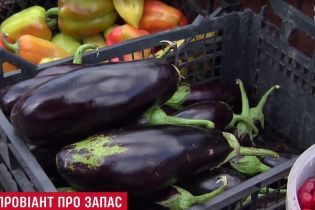 В Украине стремительно дорожают овощи