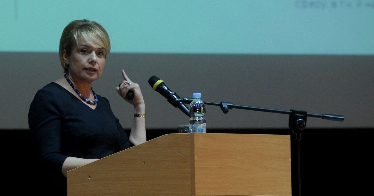 В МОН заявили, что Украина готова направить языковую статью закона об образовании на экспертизу в Совет Европы