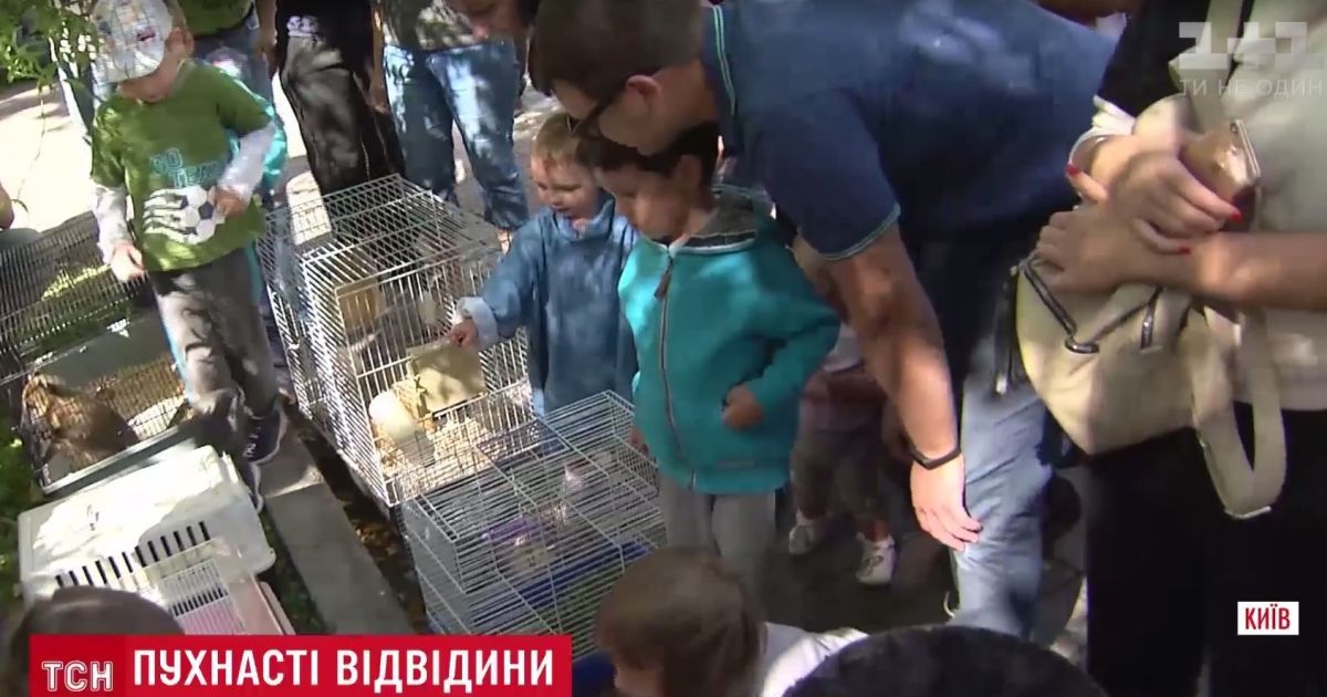 Хорек, змея и черепаха в "Охматдете": киевский зоопарк устроил праздник для больных малышей