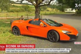 Владелец роскошного Макларена подал в суд на владельца осла, который погрыз его машину