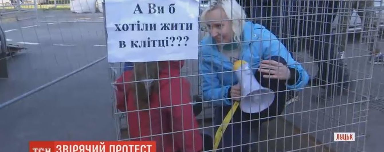 Луцькі зоозахисники в клітках провели акцію проти мандрівного цирку