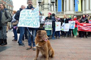 Одесский суд впервые в истории Украины арестовал мужчину за жестокое обращение с животными