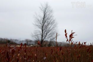 В Украину приближаются холод и дожди. Погода на 21 октября