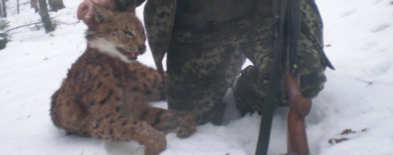 Резонансні фото єгерів з впольованою риссю опублікував лісник, чий батько підозрюється в браконьєрстві
