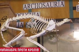 На Львівщині надумали робити масштабну лісову облаву на чупакабру