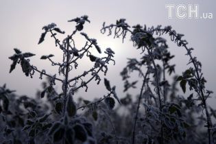 Синоптики предупреждают украинцев о сильных заморозках. Прогноз погоды на 18 ноября