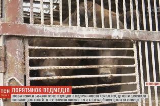 На базі відпочинку під Харковом пояснили, як працівниця примудрилася потрапити до клітки з ведмедями