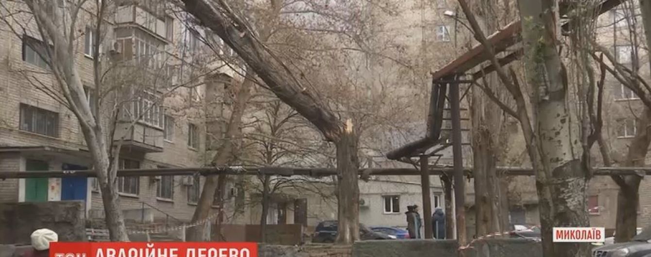 Стара величезна тополя завалилась на багатоповерхівку в Миколаєві