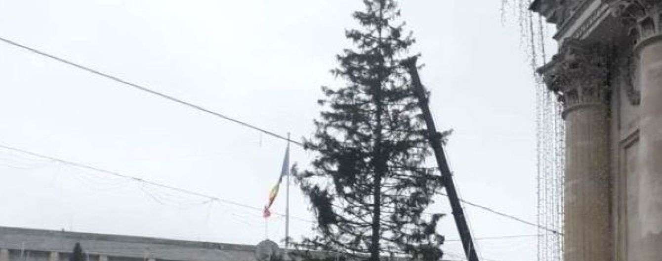 У Кишиневі облізлу новорічну ялинку замінили зрубаною в дитсадку