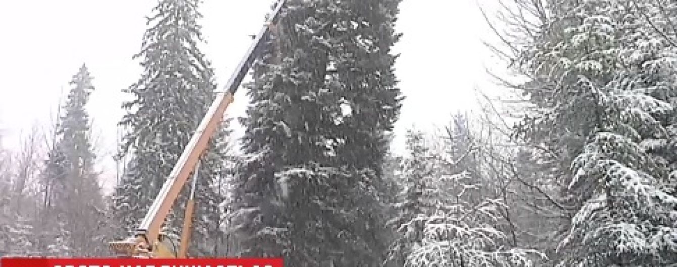 Головну ялинку України другу добу не можуть доставити до Києва