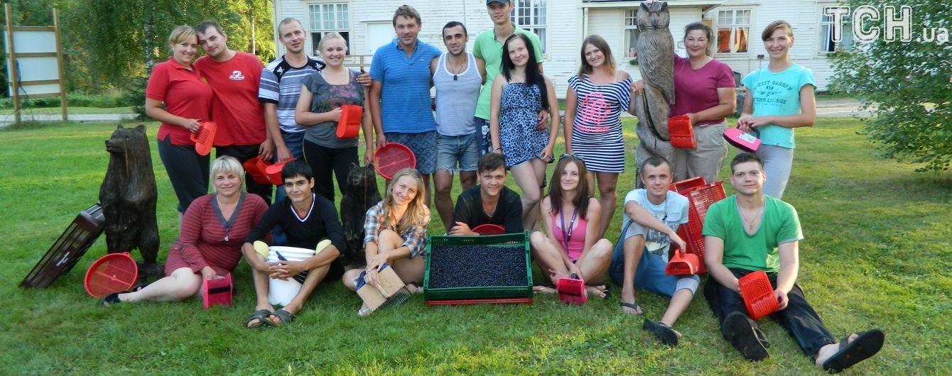 Збір ягід у Фінляндії: як безпечно поїхати та скільки можна заробити на сезонній роботі