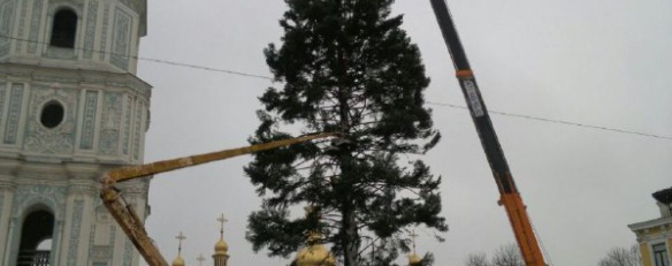 "Лысое бревно": пользователи соцсетей поглумились над главной елкой страны