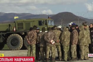 Литовско-польско-украинская бригада может стать миротворческой на Донбассе