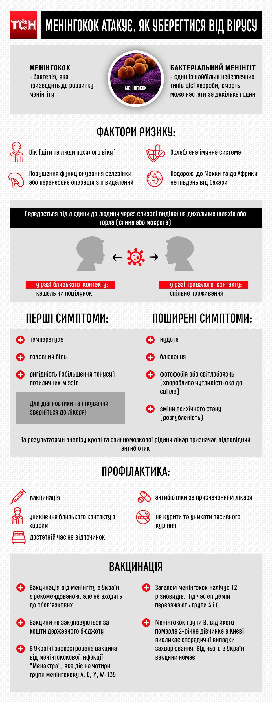 Менінгокок, менінгіт, інфографіка