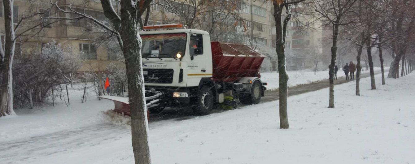 Кличку не спиться через снігопад разом із комунальниками