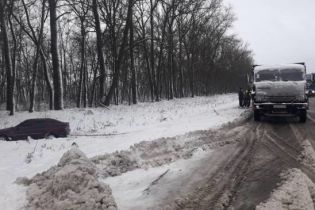 Десятки фур зупинилися на Запоріжжі через негоду