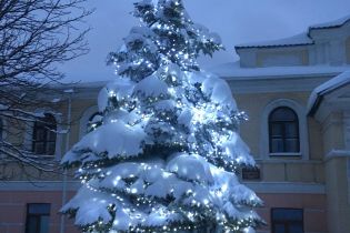У Києві відкривають пункти збору новорічних ялинок