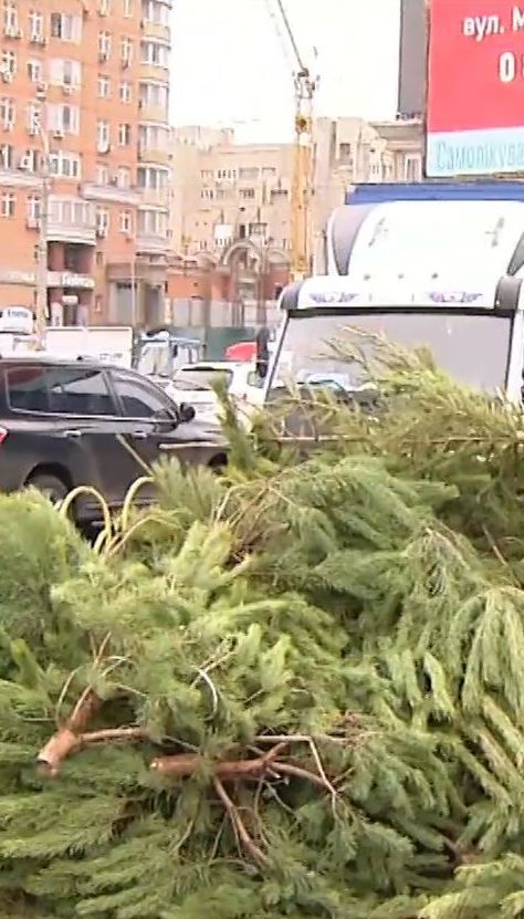 Зрубані і покинуті. Новорічні ярмарки перетворилися на ялинкові цвинтарі