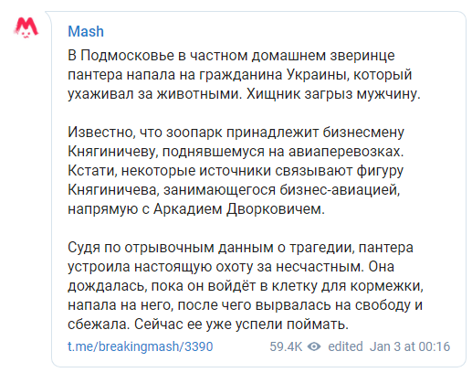пантера загризла українця