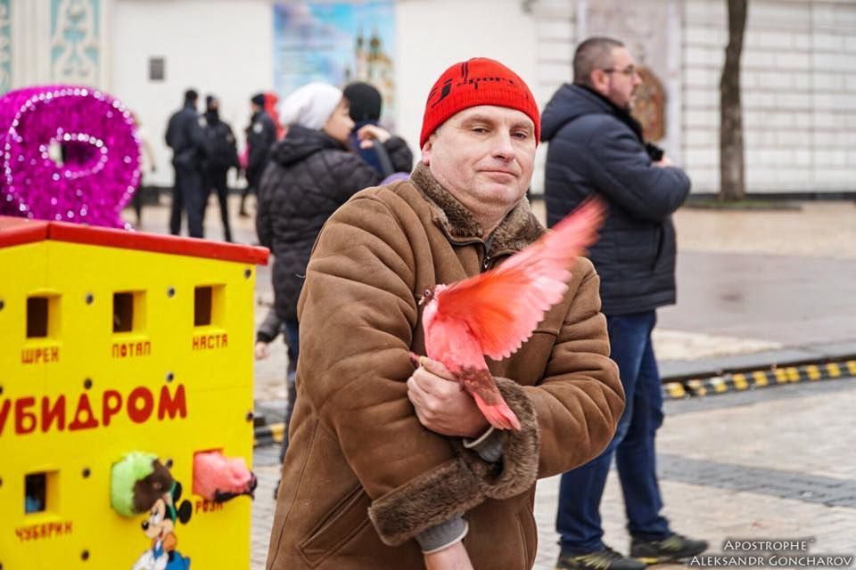Пофарбовані голуби у Києві