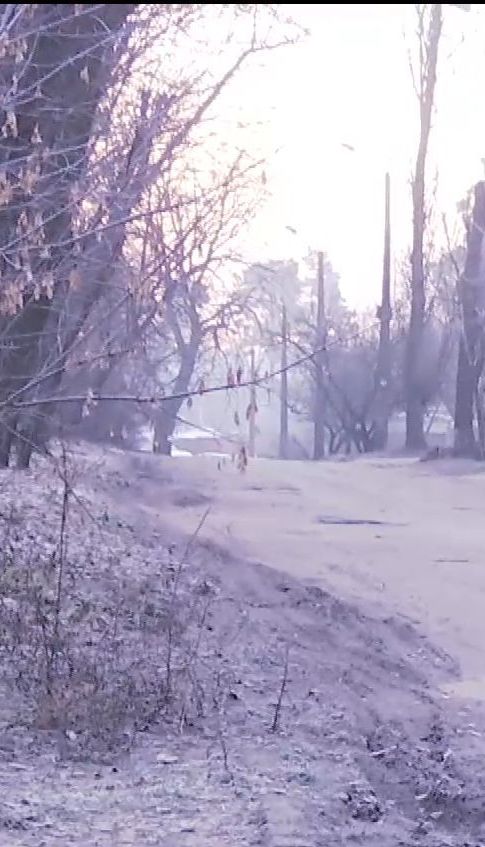 У лісі на околиці столиці знайшли розчленоване тіло