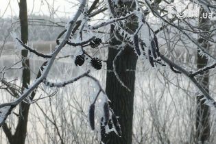 Похолодання та сніг. Прогноз погоди в Україні на 15 грудня