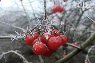 Плюсова температура на заході і морози на сході. Погода на вихідних