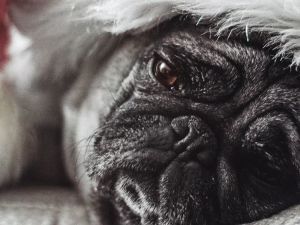 Як подолати післяноворічну хандру