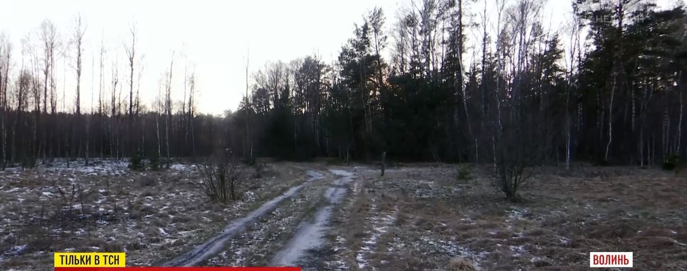 Янтарная афера года: неприметный львовянин скупил 200 гектаров земли с залежами ценного камня