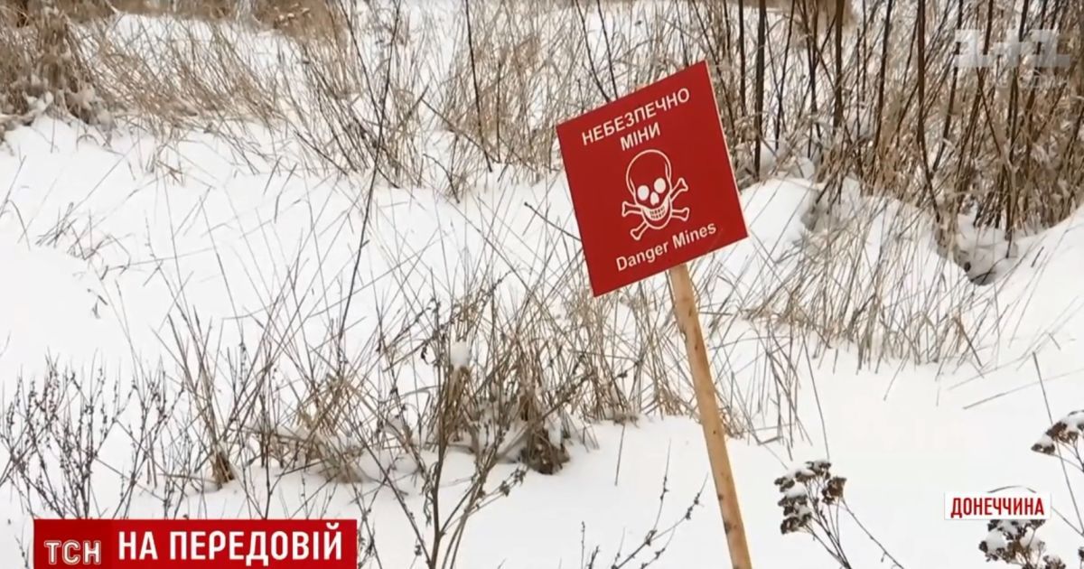 Боевики возле Донецка решили использовать кошек в противостоянии с украинской армией