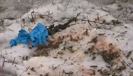 На месте падения вертолета в Кременчуге нашли голову одного из членов экипажа