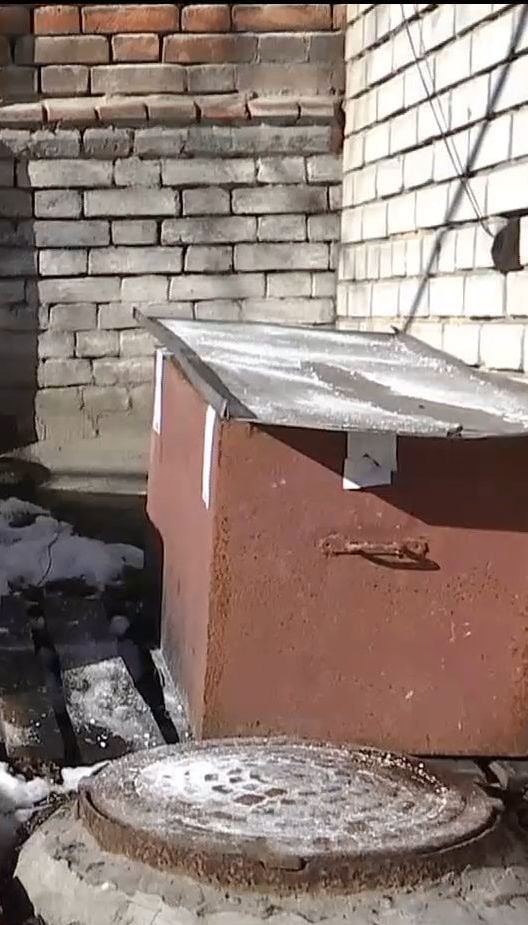 У Дніпрі місяць не можуть прибрати рештки собаки, померлої від небезпечного лептоспірозу