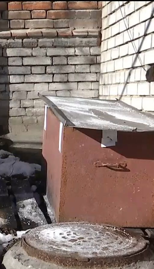 В Днепре месяц не могут убрать остатки собаки, умершей от опасного лептоспироза