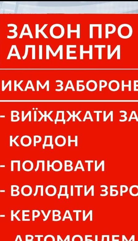 Вступил в силу закон, ужесточающий ответственность злостных неплательщиков алиментов