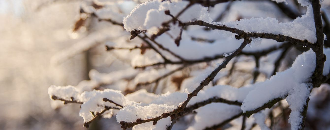 Понедельник будет с небольшим снегом и гололедицей. Прогноз погоды на 19 февраля