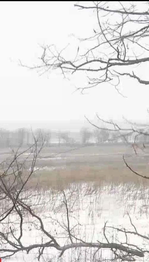 В годовщину подписания Минских соглашений враг не стесняется палить с запрещенного оружия