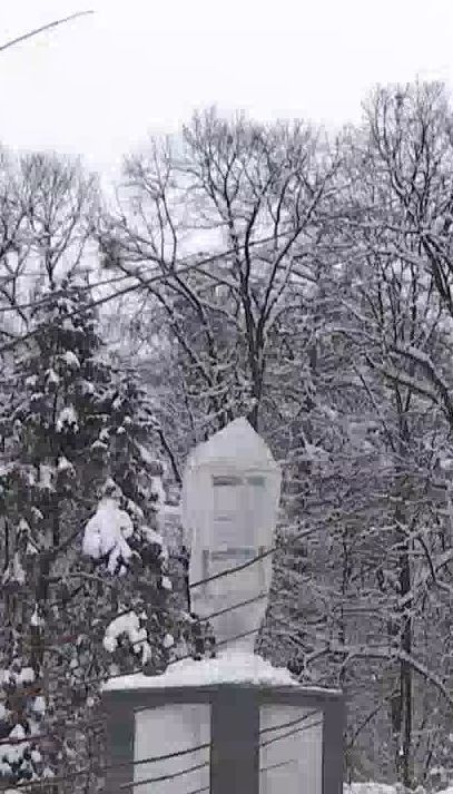На Львівщині спіймали вандалів, які відрізали голову пам'ятнику Шевченка