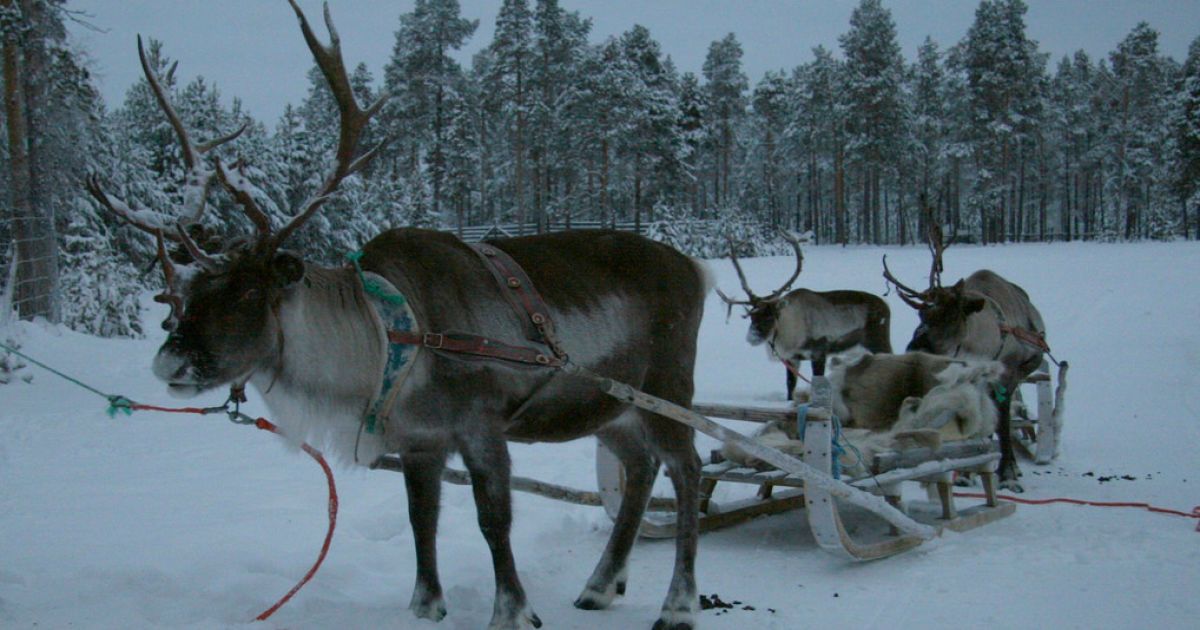 Долгий перелет и такси за 800 гривен: как из Киева добраться в дом настоящего Санта-Клауса