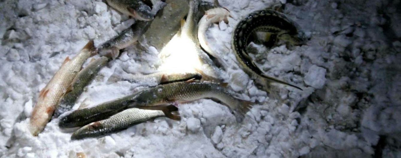 Пограничники задержали в Азовском море браконьеров с уловом на 60 тысяч гривен