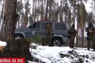 Битва за ліс: на Житомирщині спецназ зі стріляниною затримав на гарячому чорних лісорубів