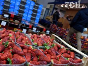Найгірший сезон за останні 20 років: скільки коштує полуниця та черешня у регіонах України