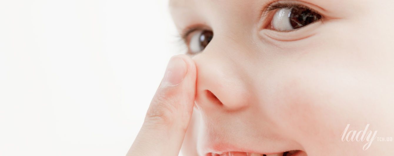 Покажи картинки носа. Нос картинка для детей. Изображение носа для детей.