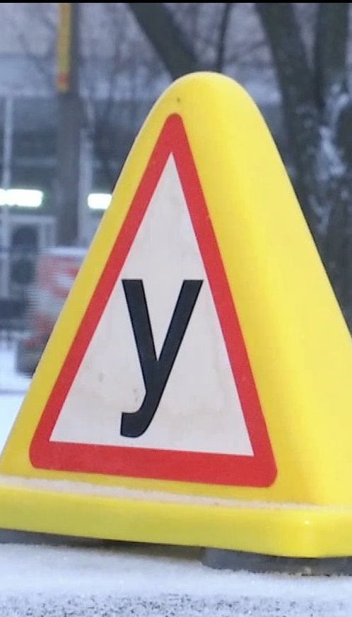 За сколько можно купить водительское удостоверение - эксперимент "Сніданка"