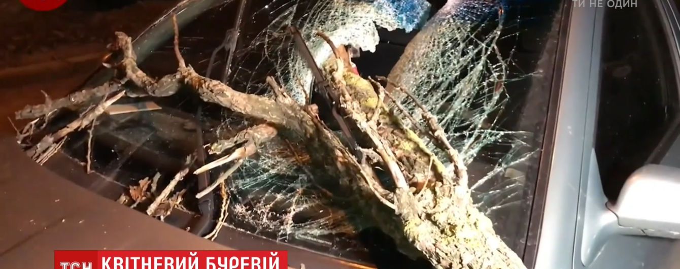 Знищені дерева, електромережі та загибла жінка: Київщина вже добу оговтується від потужного буревію