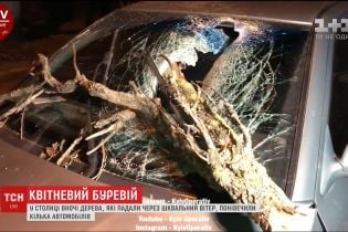 Уничтоженные деревья, электросети и погибшая женщина: Киевщина уже сутки оправляется от мощного урагана