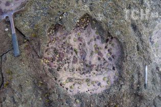 У Шотландії знайшли сліди найбільшої тварини, яка коли-небудь ходила землею